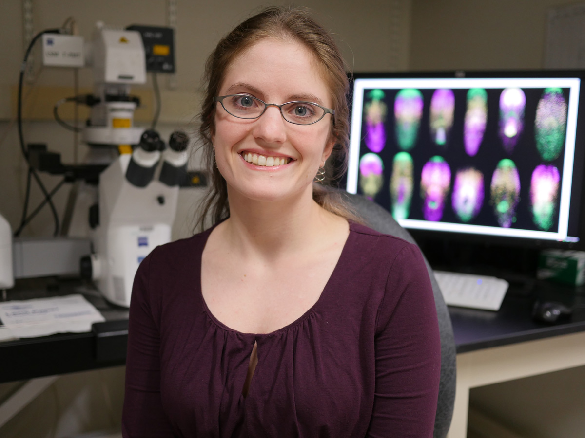 Person with brown hair in pony tail sits in front of computer and microscope.