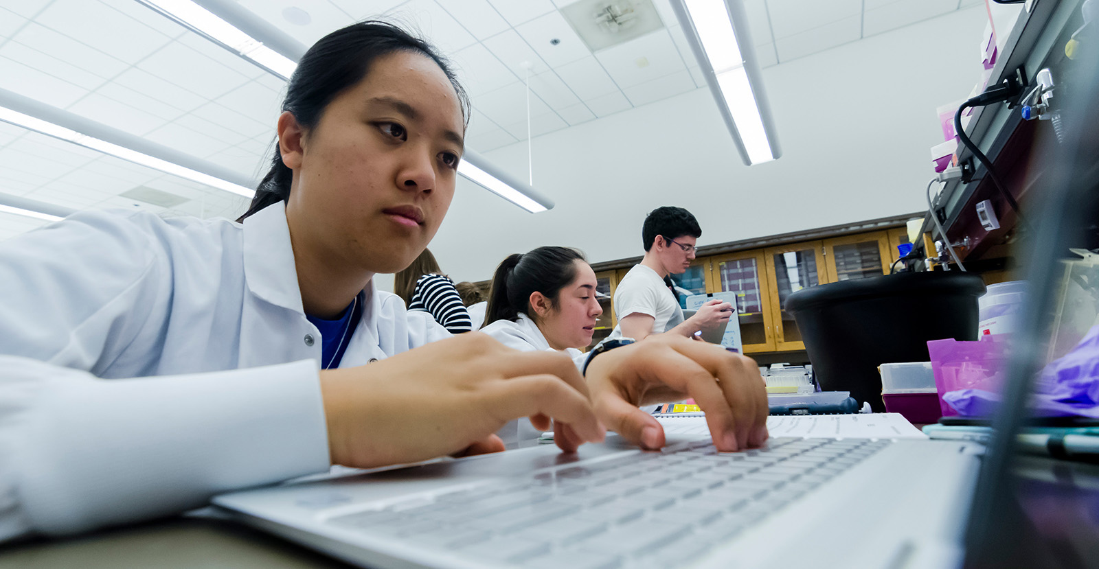 Mit degree requirements image