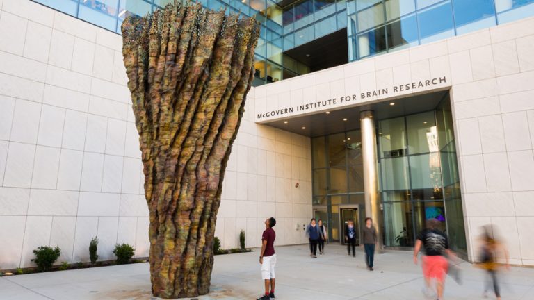 McGovern Institute for Brain Research - MIT Department of Biology