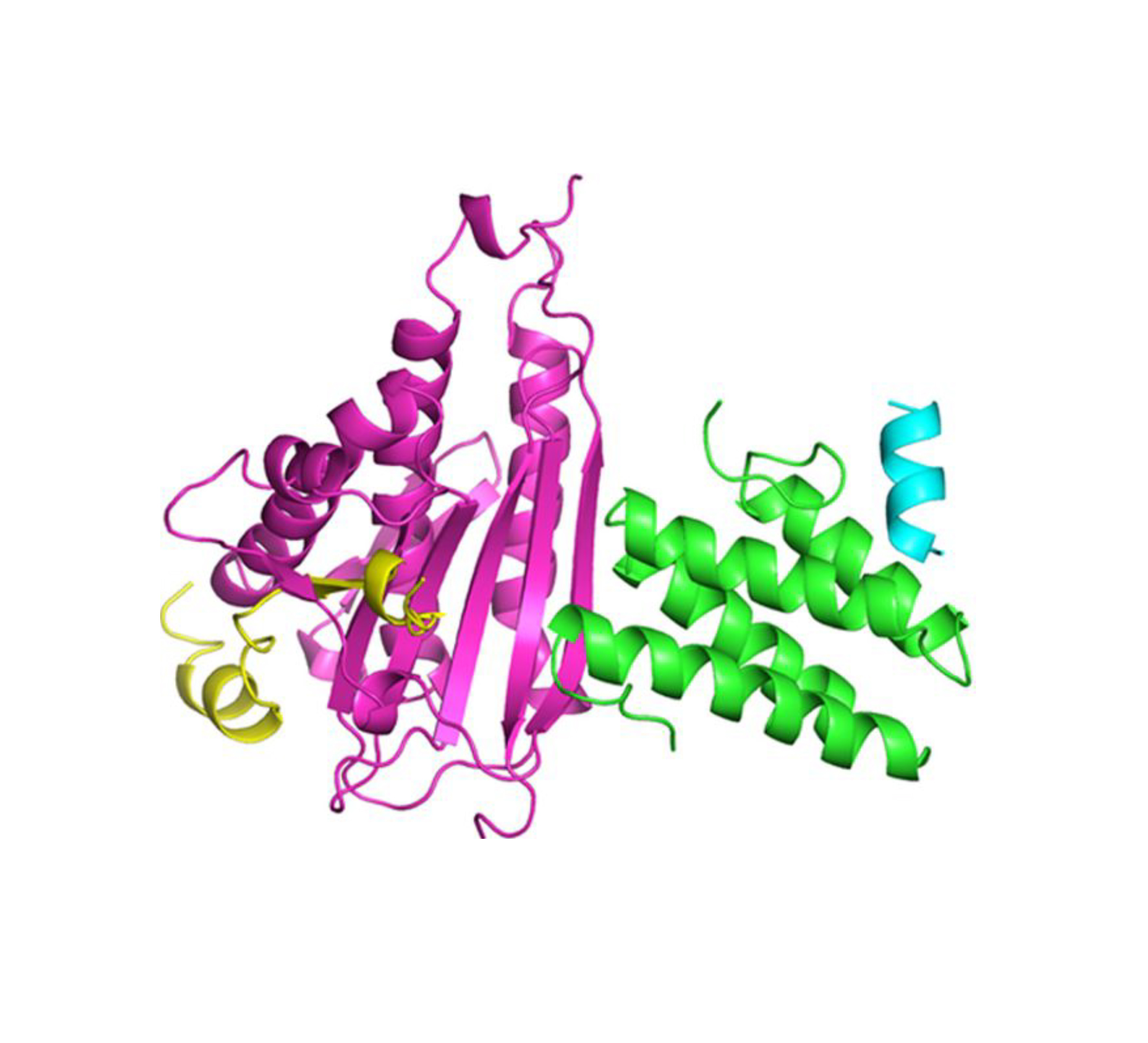 Scientific figure containing ribbon-like proteins in various colors.
