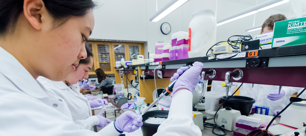 Bernard S. and Sophie G. Gould MIT Summer Research Program in Biology  (BSG-MSRP-Bio) - MIT Department of Biology