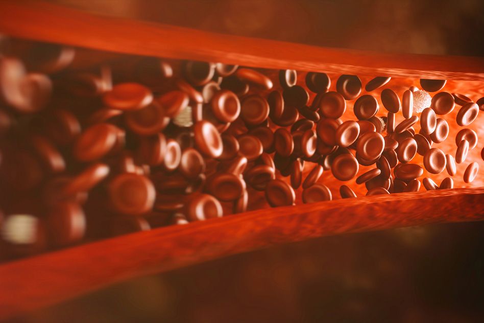 Study suggests method for boosting growth of blood vessels and muscle