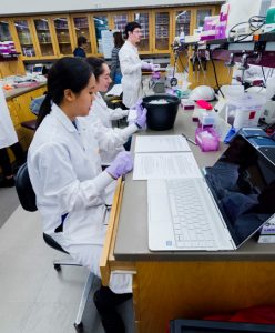 Students at lab bench