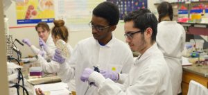 Students working in lab