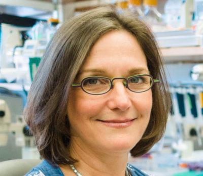 Canceled: Abby Dernburg, UC Berkeley