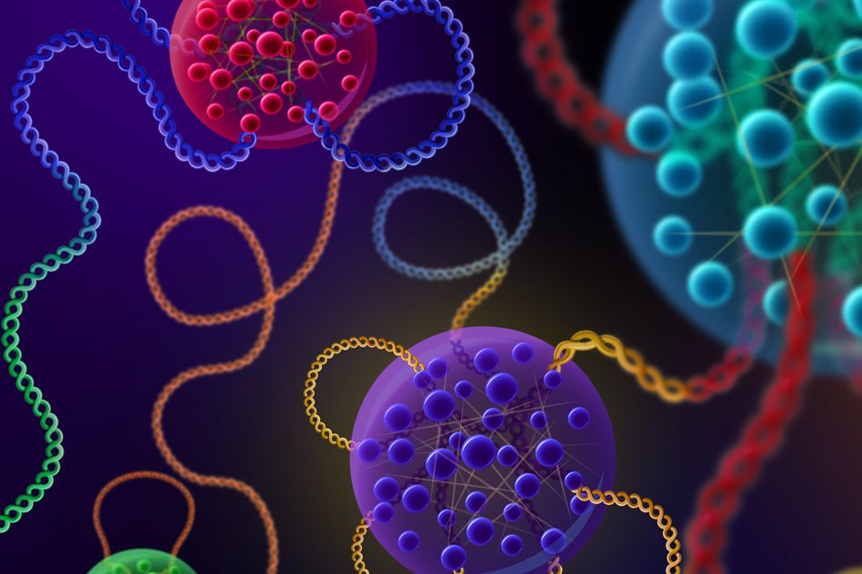 Study furthers radically new view of gene control - MIT Department of  Biology