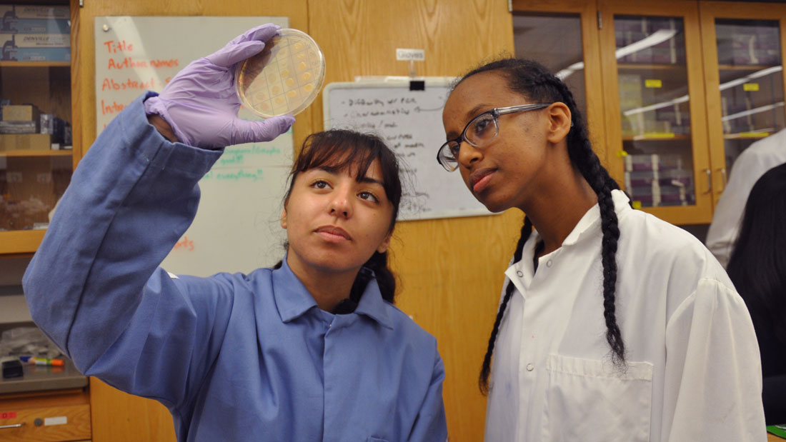 Two students looking at plate in lab