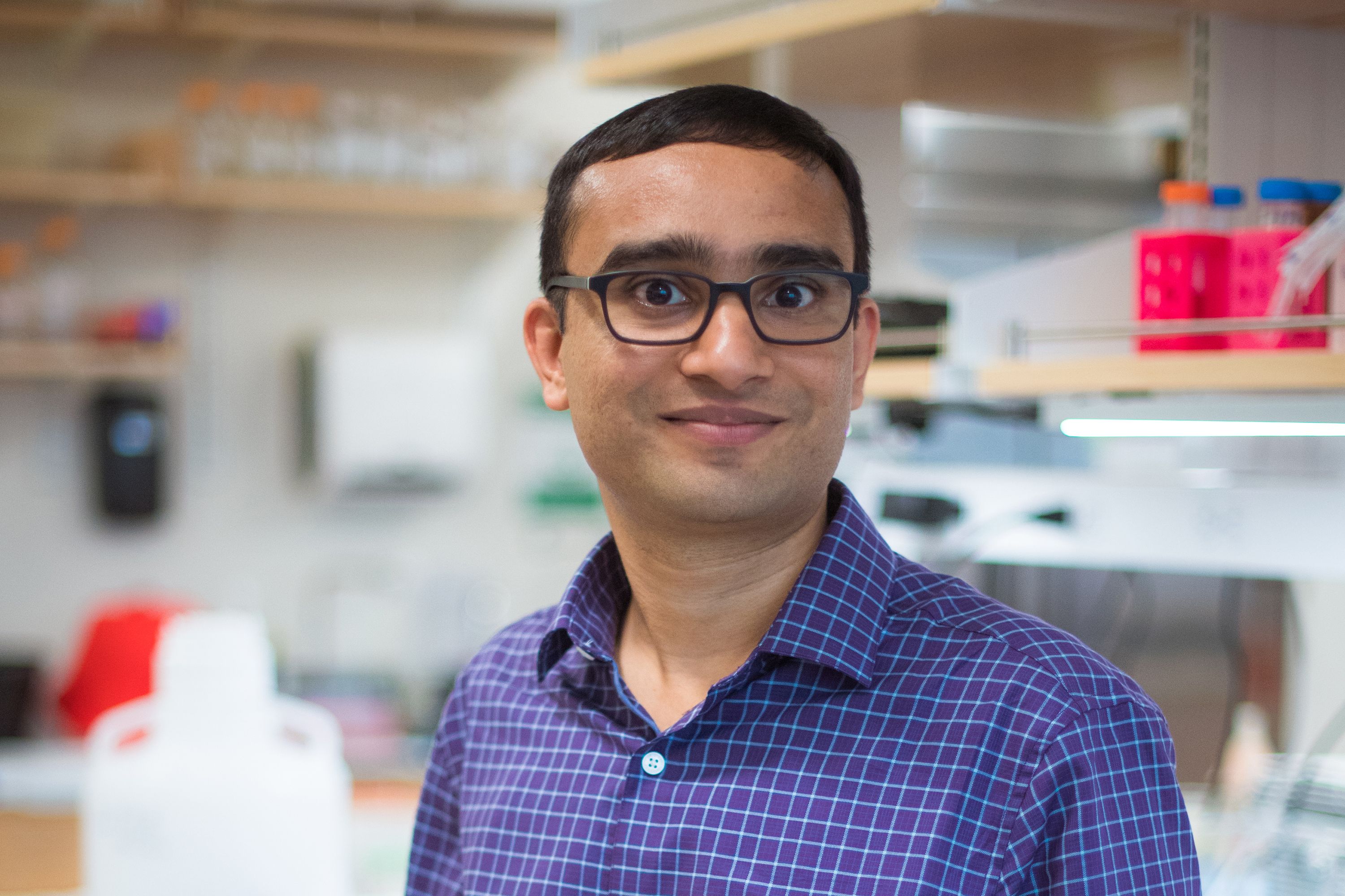 Ankur Jain awarded Packard Foundation Fellowship