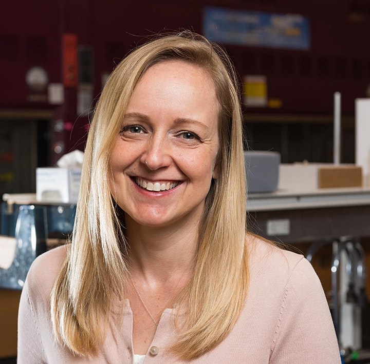 Ginger Shultz, Writing-Based Strategies for Learning