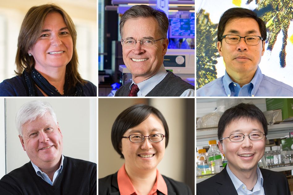 Six from MIT awarded research funding to address Covid-19