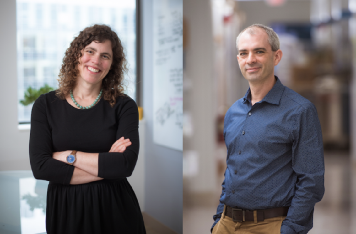 Mary Gehring and Iain Cheeseman appointed to endowed professorships