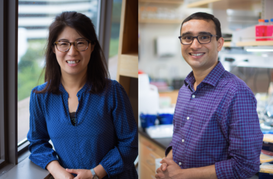 Ankur Jain and Pulin Li appointed to prestigious chairs