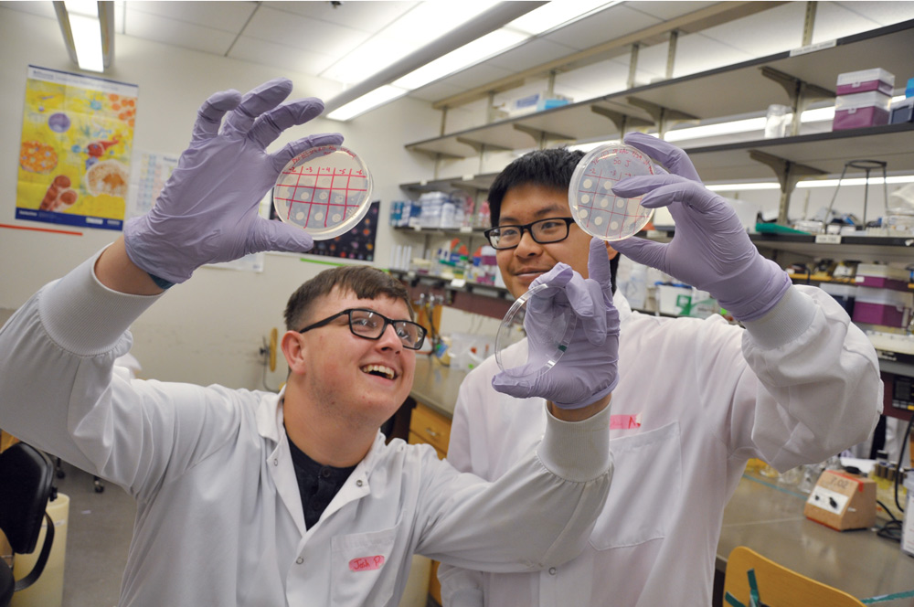 Bernard S. and Sophie G. Gould MIT Summer Research Program in Biology  (BSG-MSRP-Bio) - MIT Department of Biology