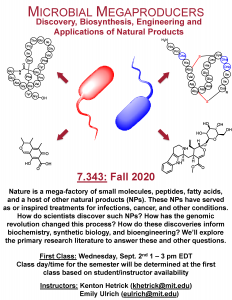 7.343 Flyer