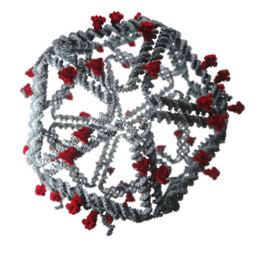 Illustration of virus-like molecule