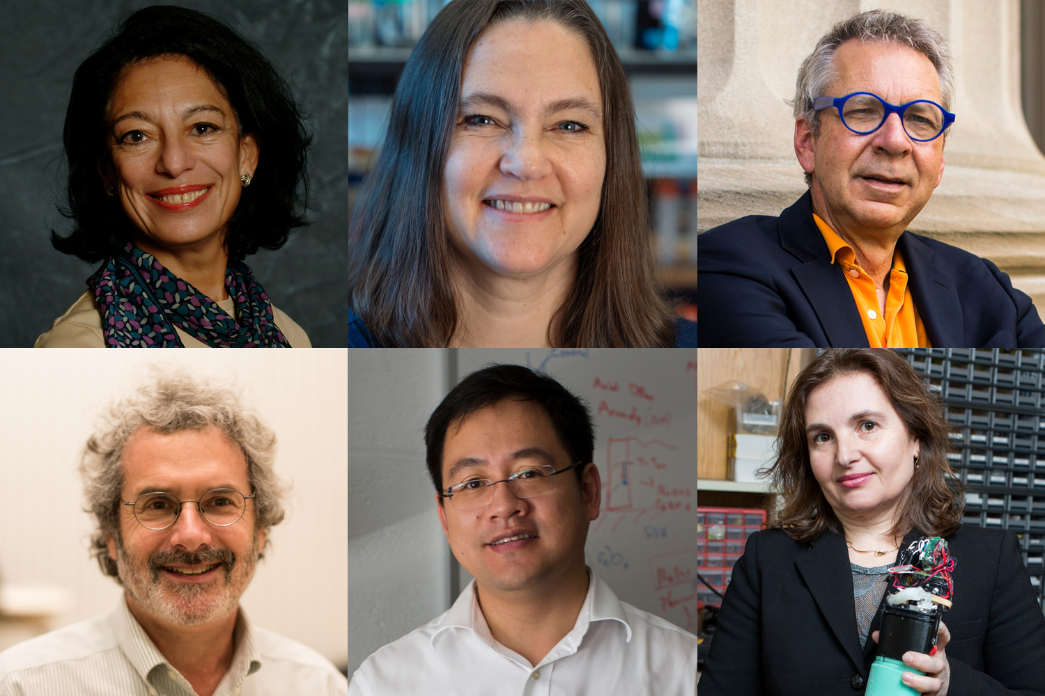 Six MIT faculty elected 2020 AAAS Fellows