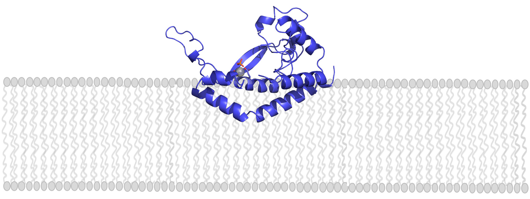 A new database of potential antibiotic targets