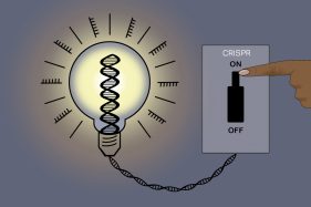 crispr whitehead weissman underlying genes silence genome chrysos altering unchanged controls biomedical eurekalert ucsf fiercebiotech scienceblog scienmag