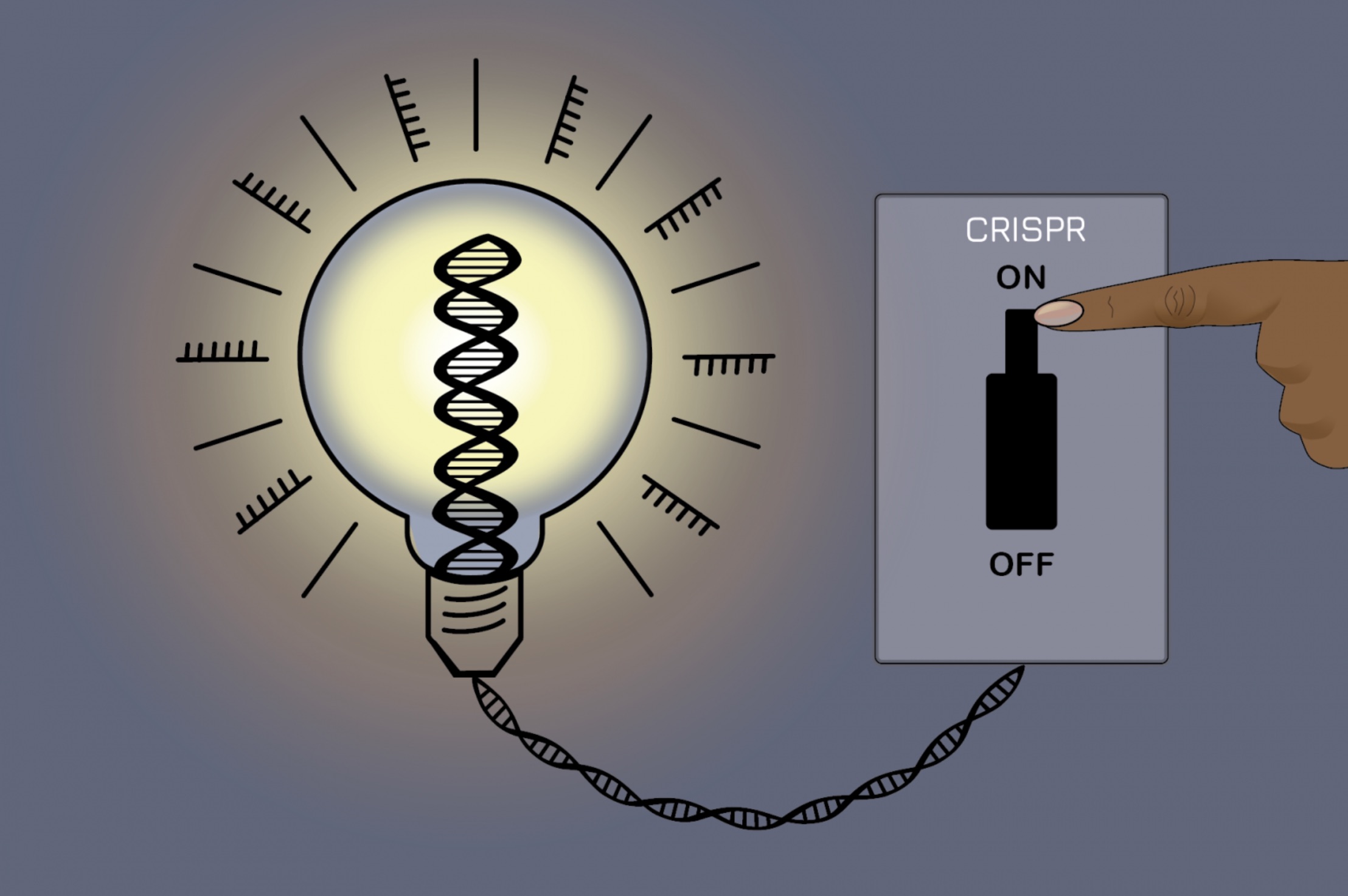 An on-off switch for gene editing