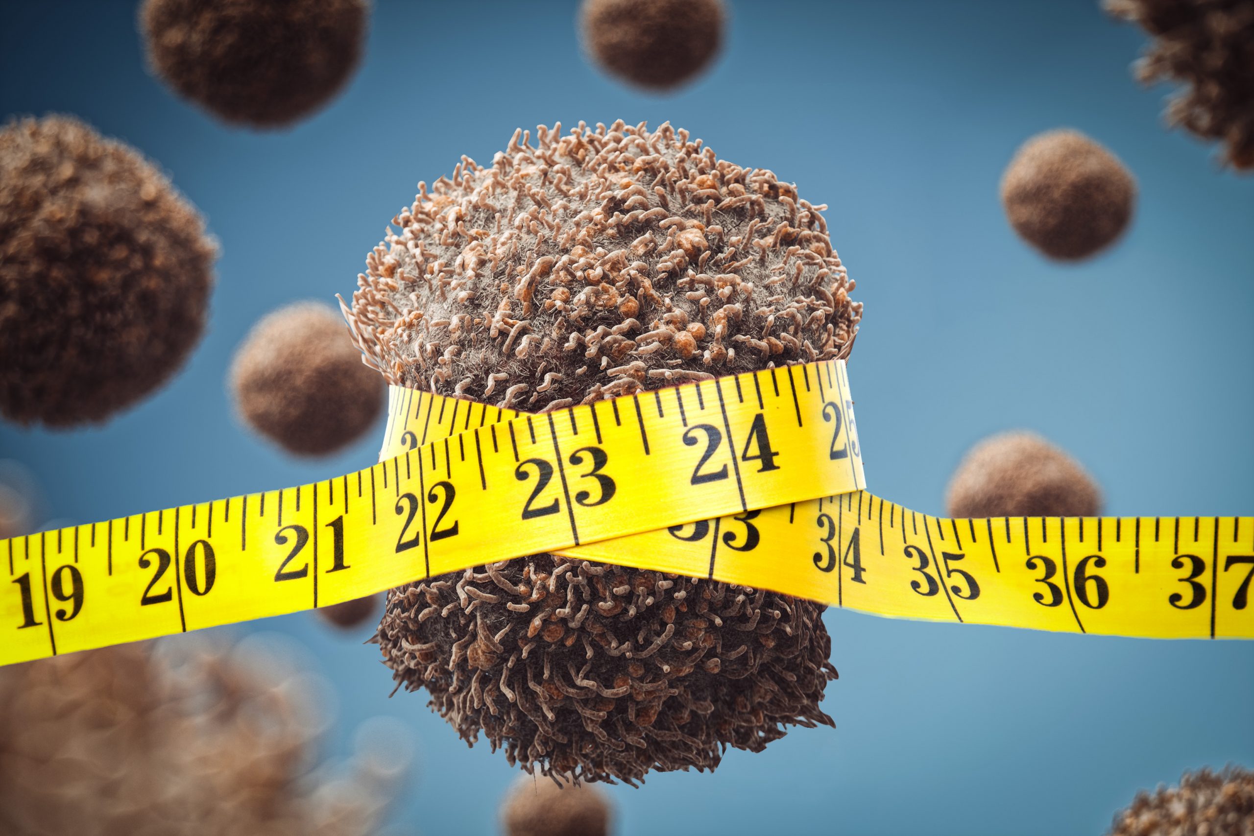 How diet affects tumors