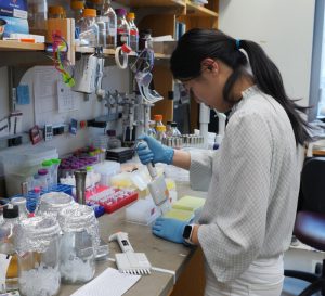 Woman pipetting in lab