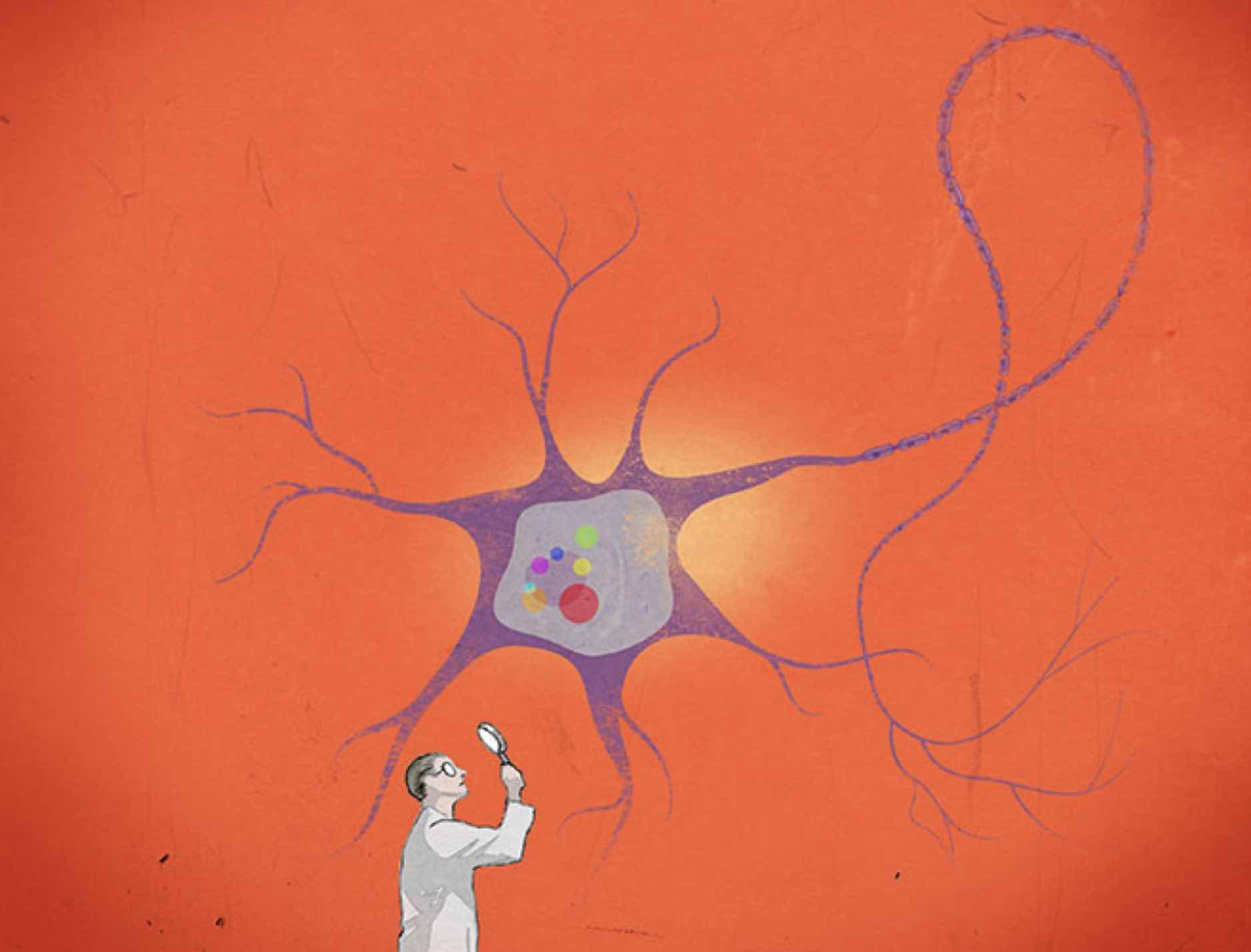 Opioids and the brain: new insights through epigenetics