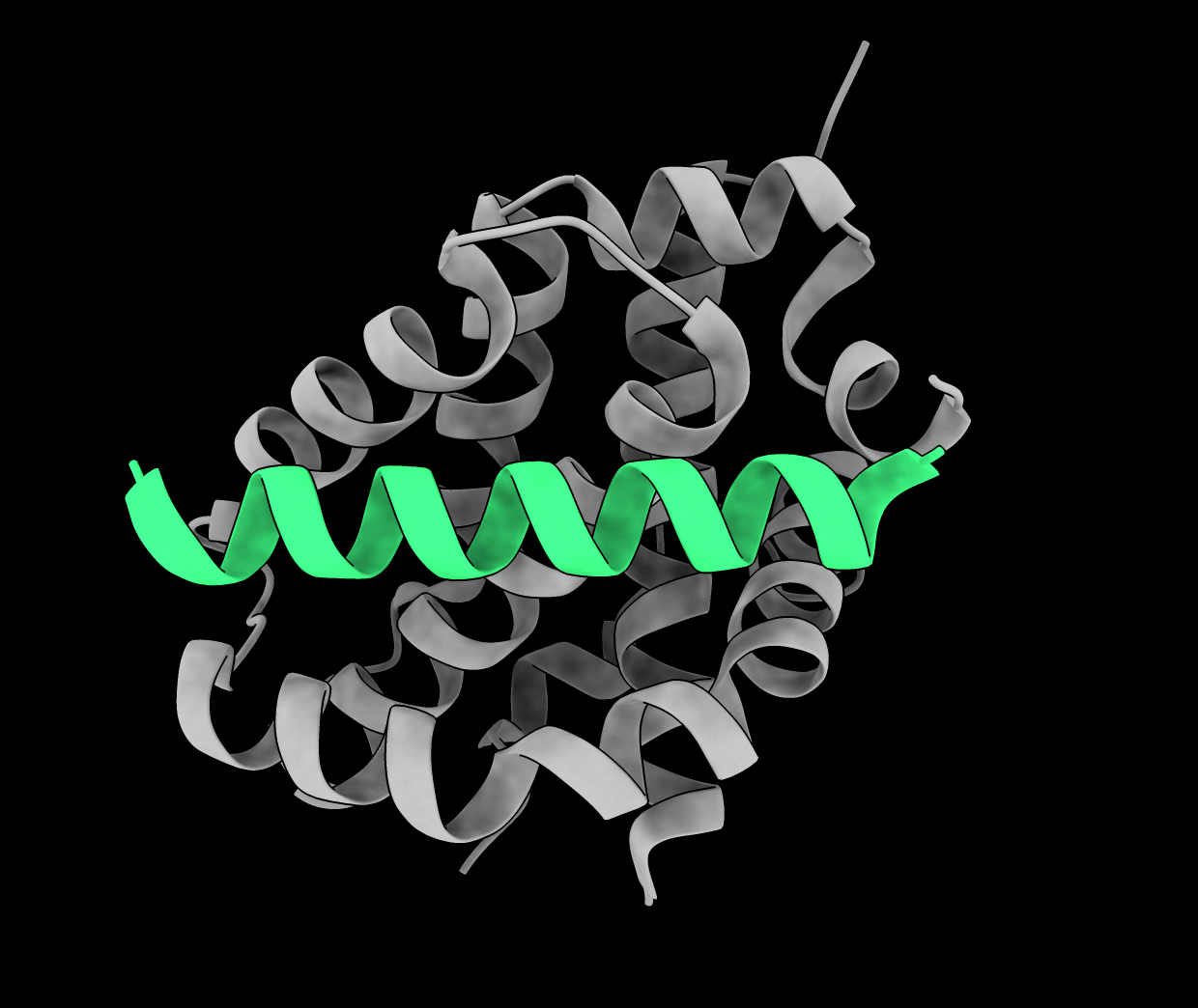 New peptide modulators of the pro-apoptotic protein BAK