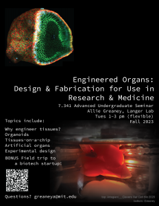 7341 Engineered Organs - poster