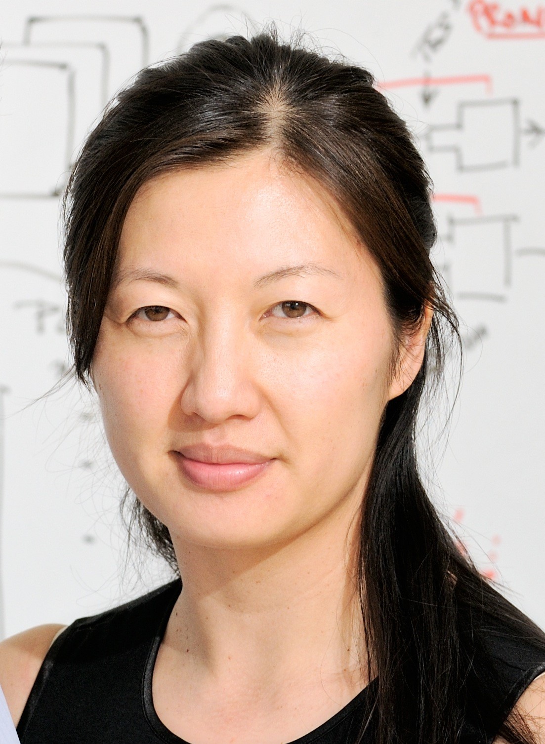 Colloquium: Alice Ting, Stanford University