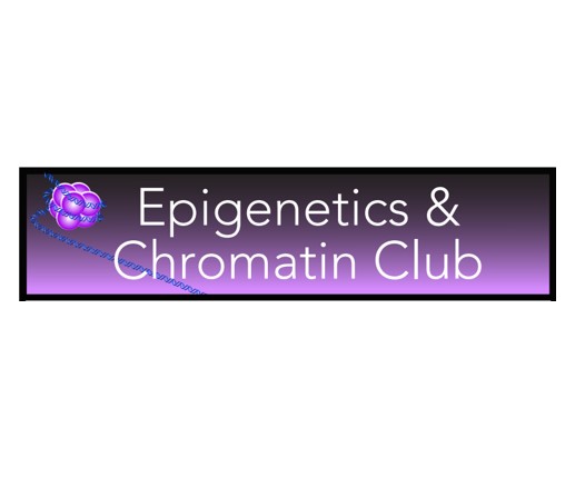 Epigenetics & Chromatin Club: Hannah Harris (Paige Lab)