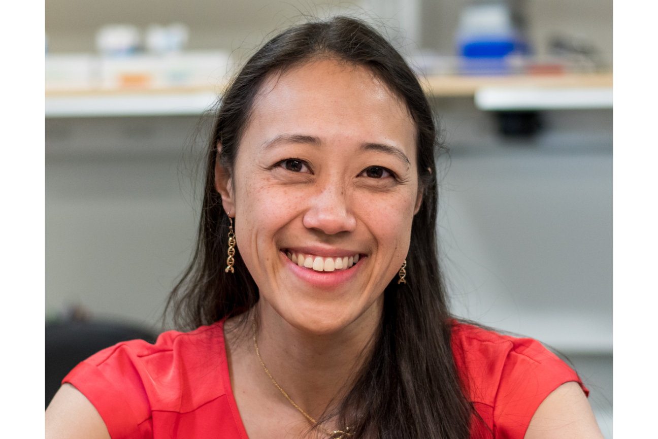 MIT Bio alum, Yamashita lab postdoc receives prestigious HHMI Hanna H. Gray Fellowship