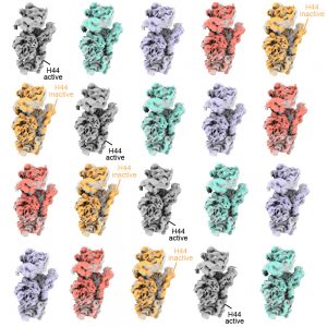 a 5x4 grid of colorful dragon-shaped proteins, with labels for inactive vs. active conformations of Helix 44