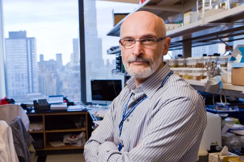 Colloquium: Alexander Rudensky, Memorial Sloan Kettering Cancer Center