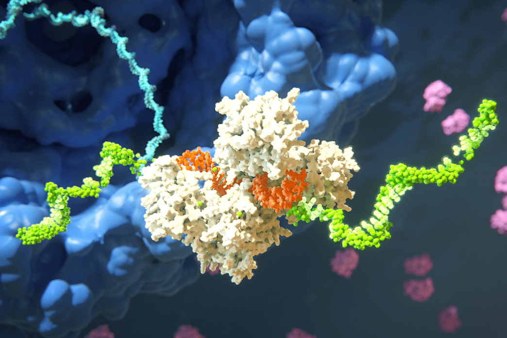 Taking RNAi from interesting science to impactful new treatments