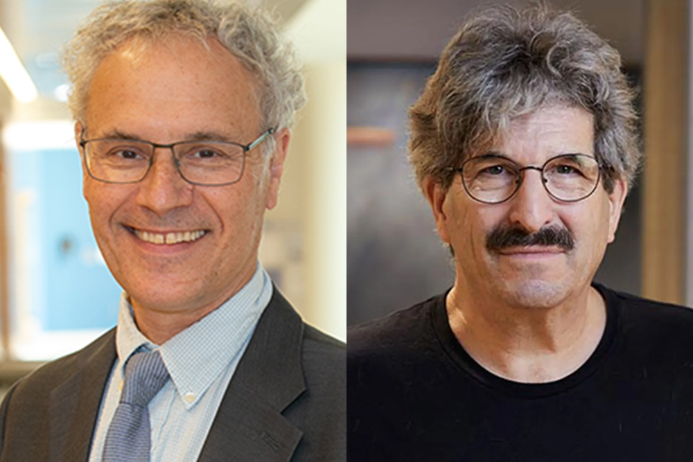 Victor Ambros ’75, PhD ’79 and Gary Ruvkun share Nobel Prize in Physiology or Medicine