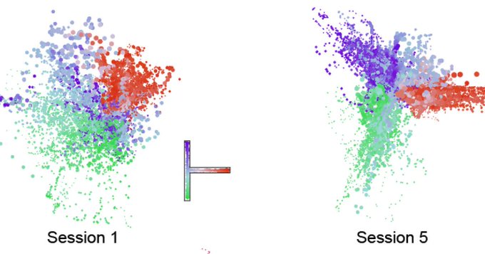 Study suggests how the brain, with sleep, learns meaningful maps of spaces