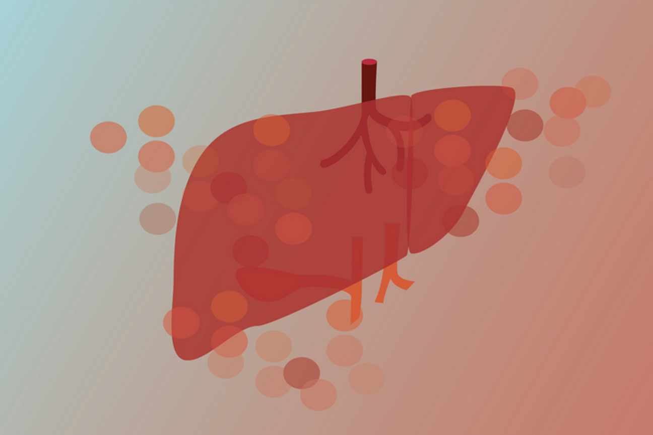 Putting liver cells in context: new method combines imaging and sequencing to study gene function in living tissue