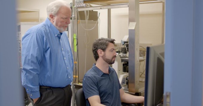 RNA editing study finds many ways for neurons to diversify