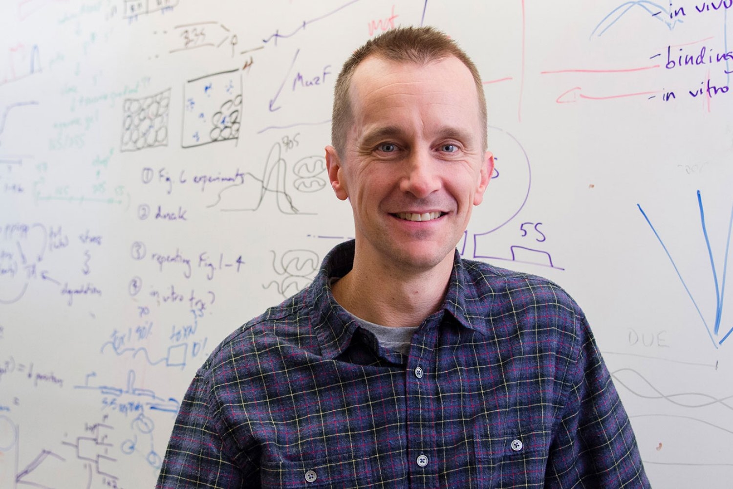 Professor Michael Laub named 2025 AAAS Fellow