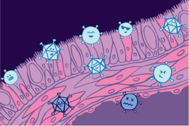 How tissues tune immune responses to match the threat