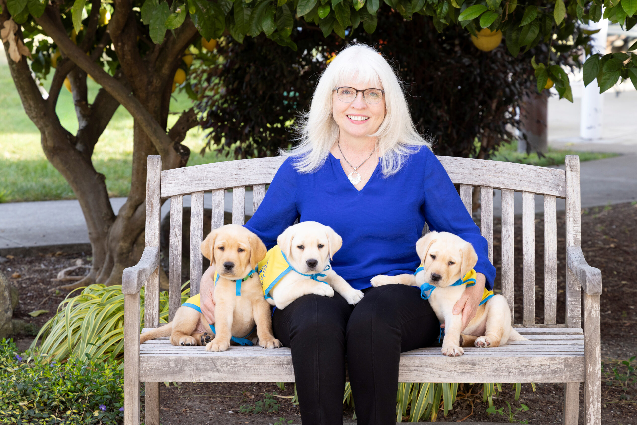 Alumni Spotlight: Caring for Service Dogs