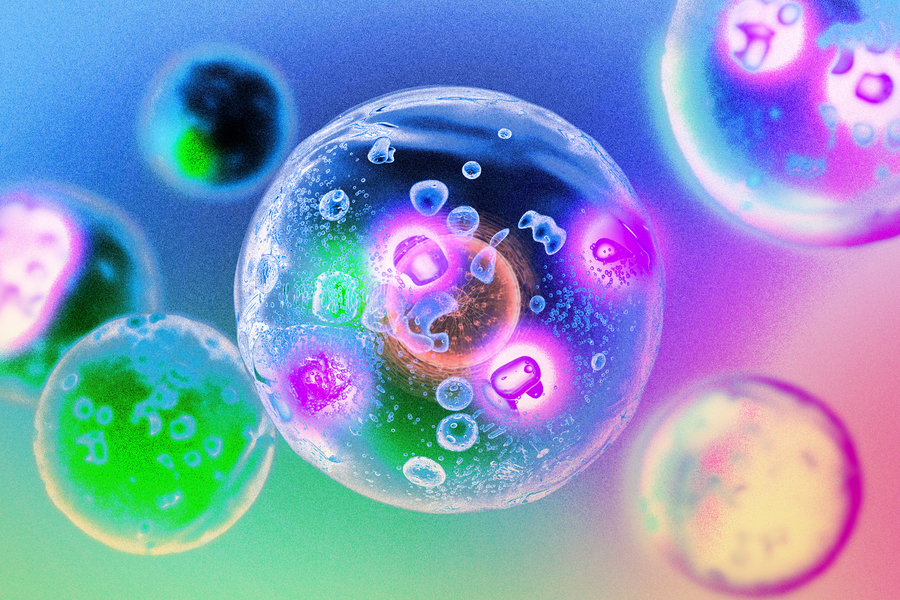Enzymes that assemble into droplets can speed up cellular reactions