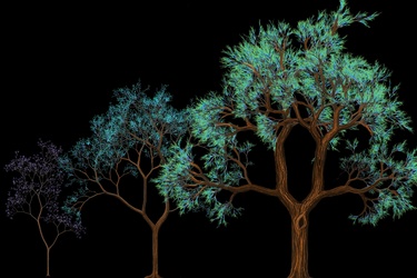 From snapshots to movie: capturing the complete process of embryonic development